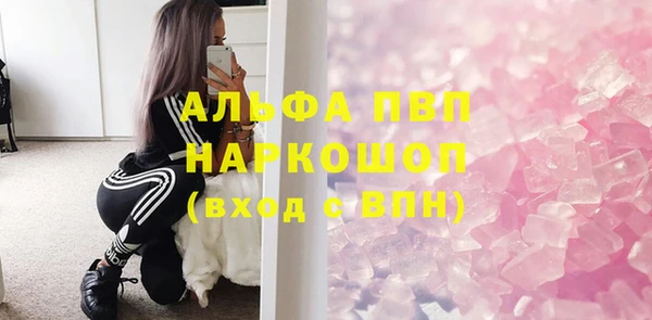 индика Белая Холуница