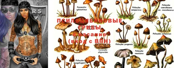 MDMA Нязепетровск